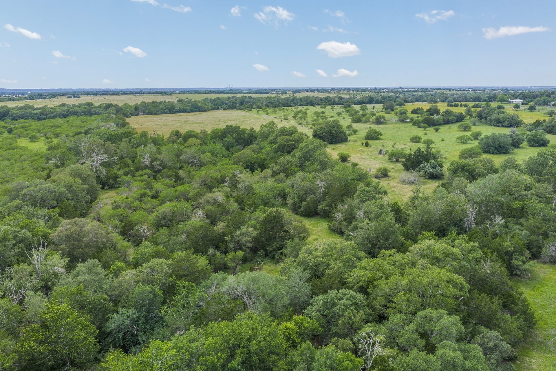 35 acres in Colorado County - photo 28