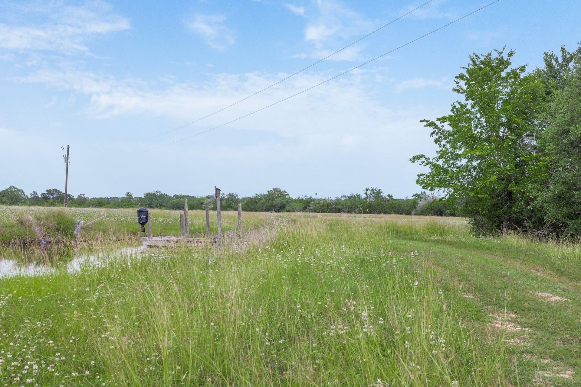 35 acres in Colorado County - photo 4