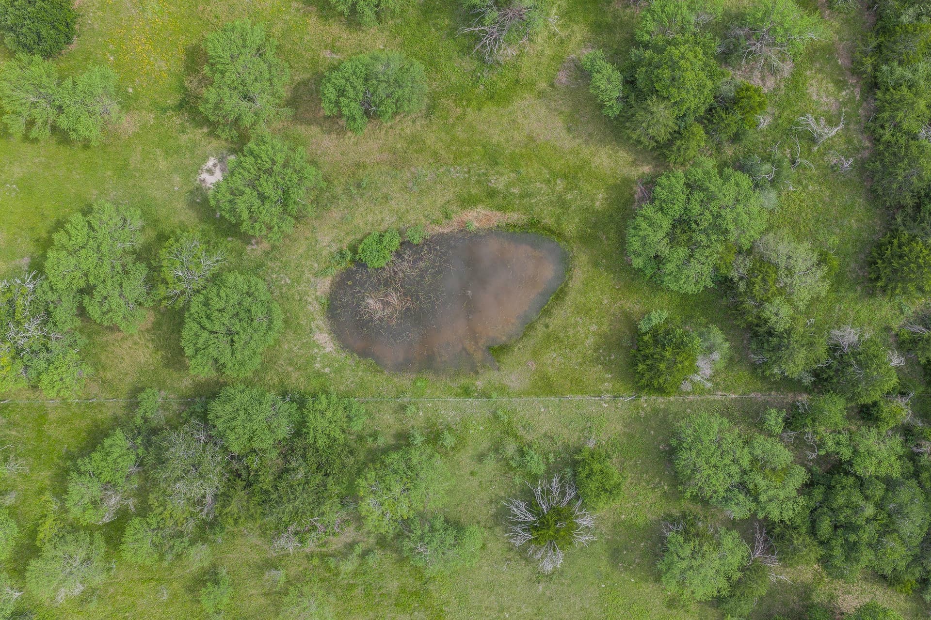 35 acres in Colorado County - photo 24