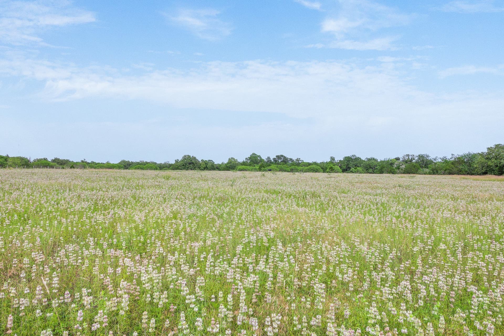 35 acres in Colorado County - photo 10