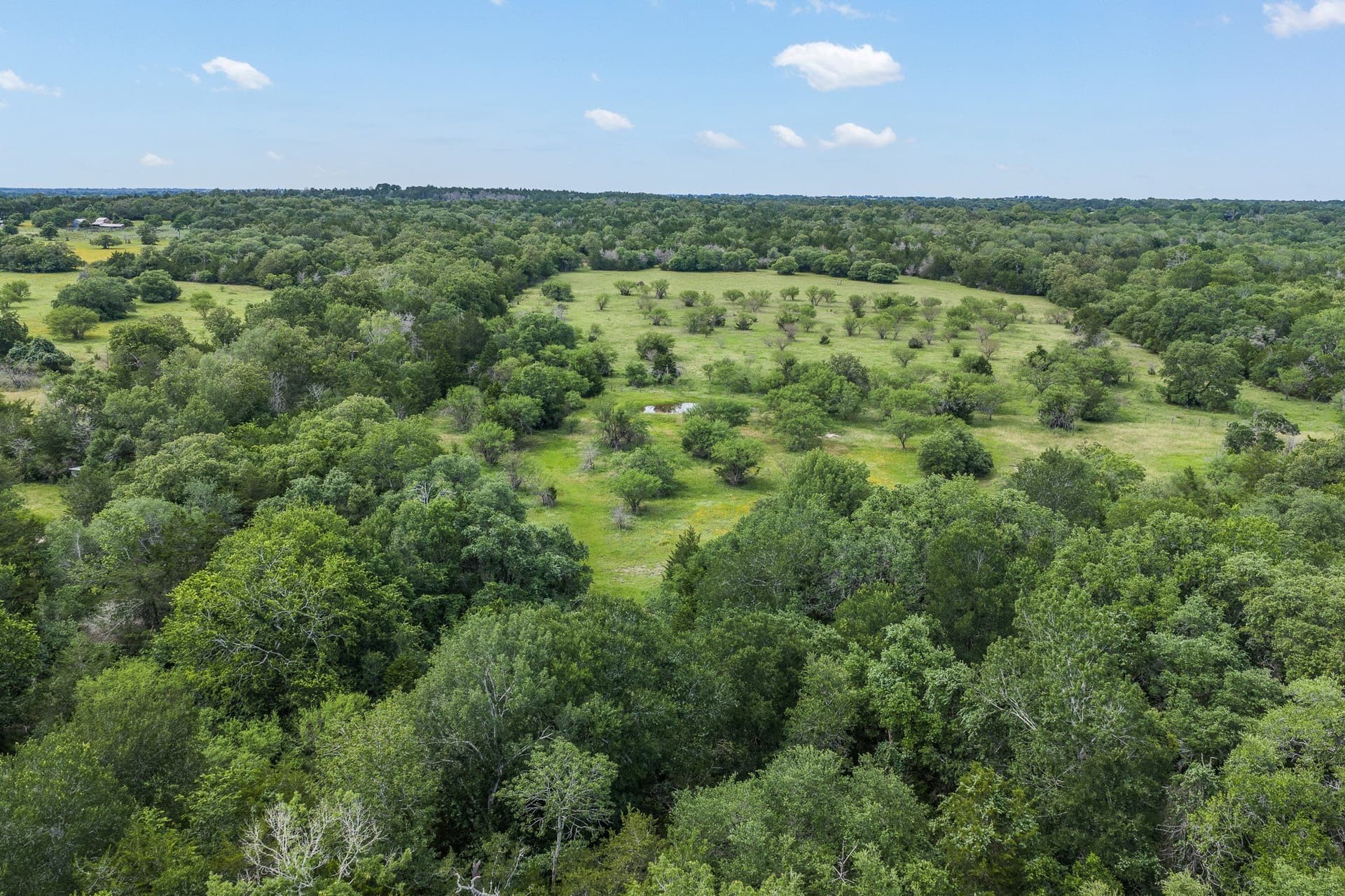35 acres in Colorado County - photo 29