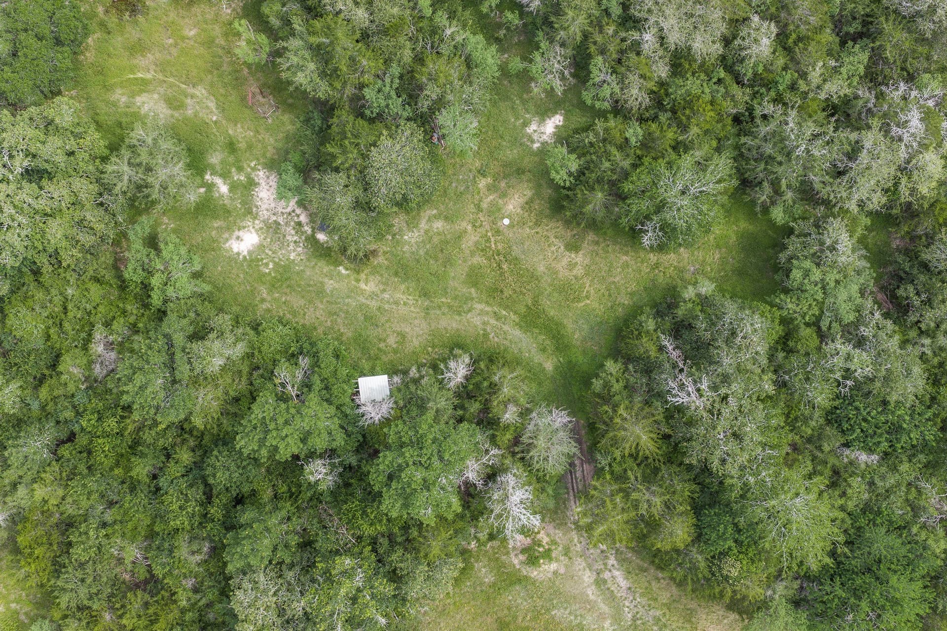 35 acres in Colorado County - photo 27