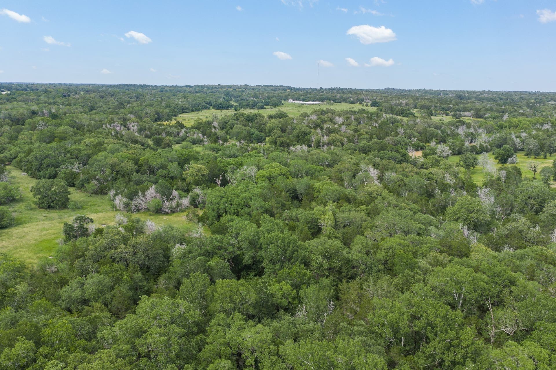 35 acres in Colorado County - photo 30