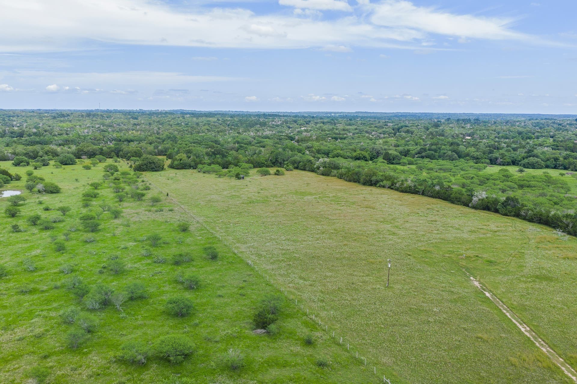 35 acres in Colorado County - photo 34