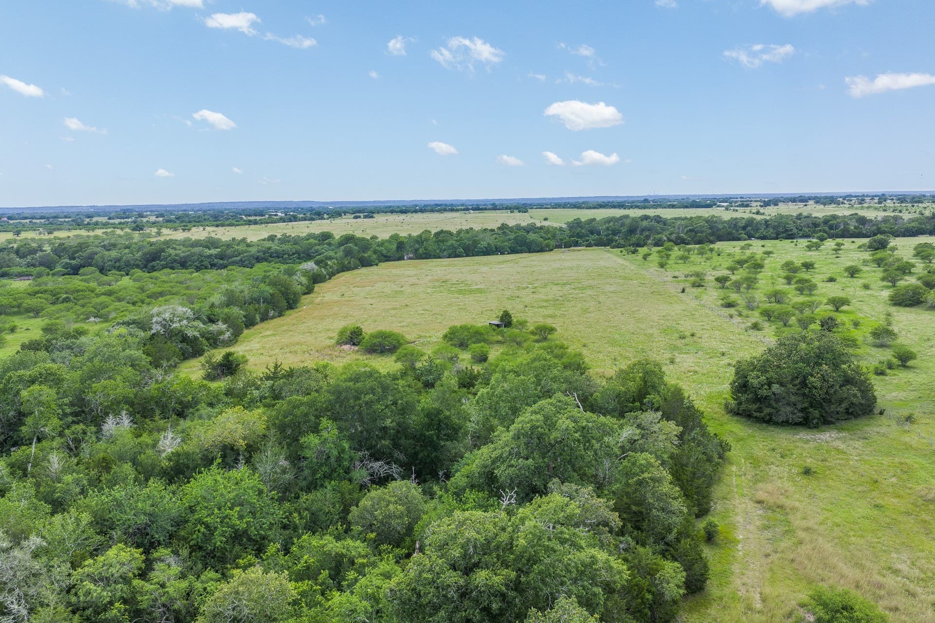 35 acres in Colorado County - photo 32
