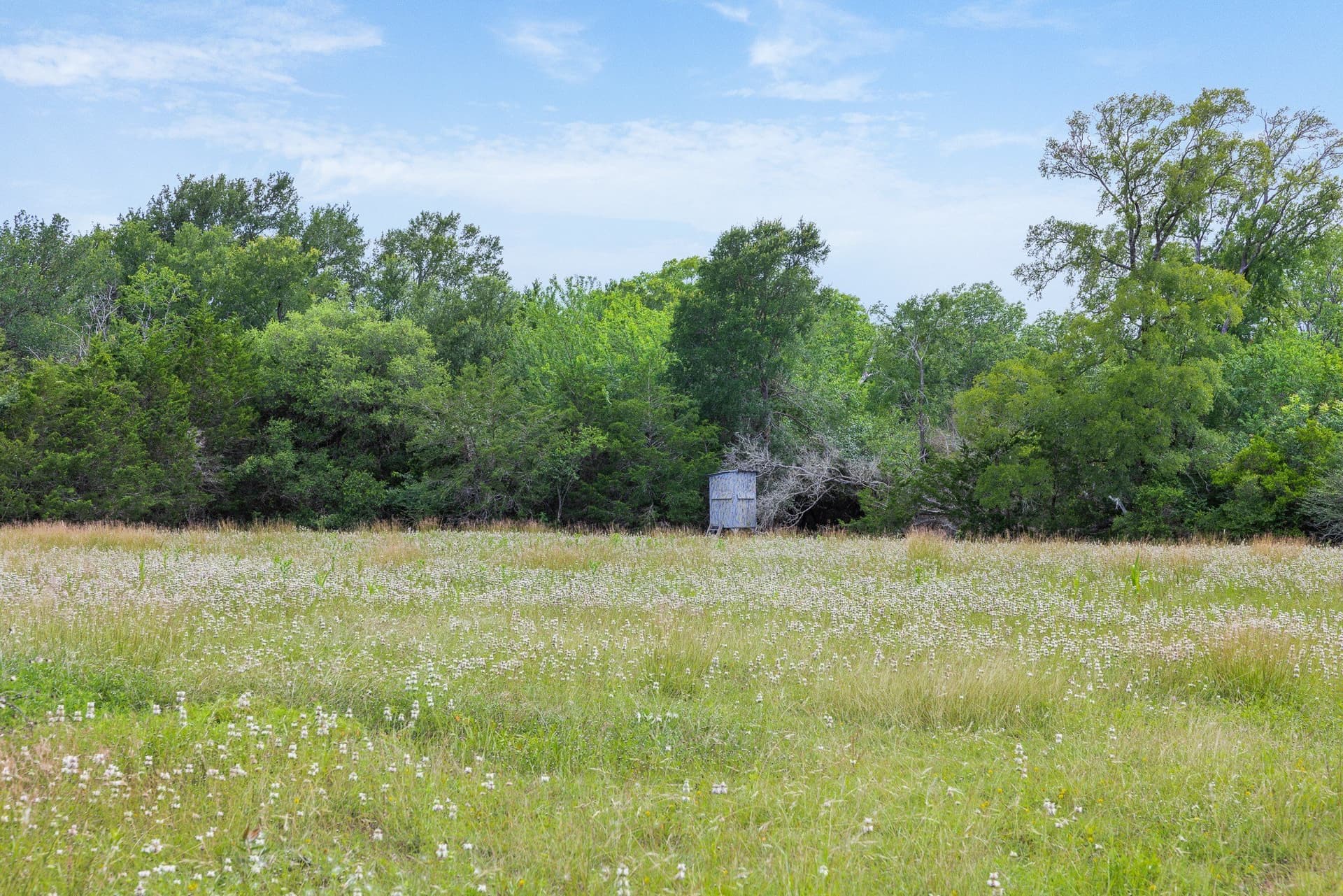 35 acres in Colorado County - photo 9