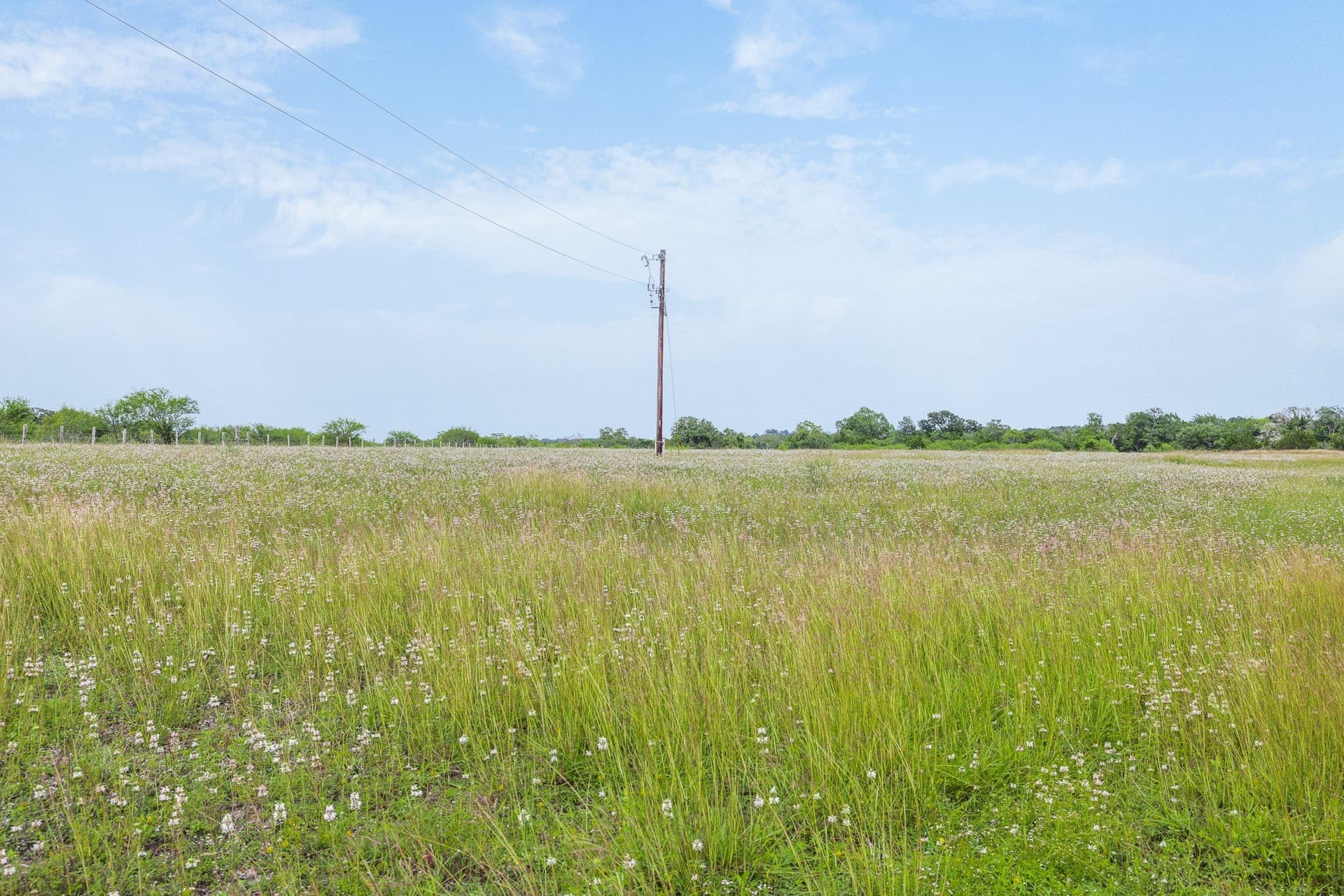 35 acres in Colorado County - photo 6