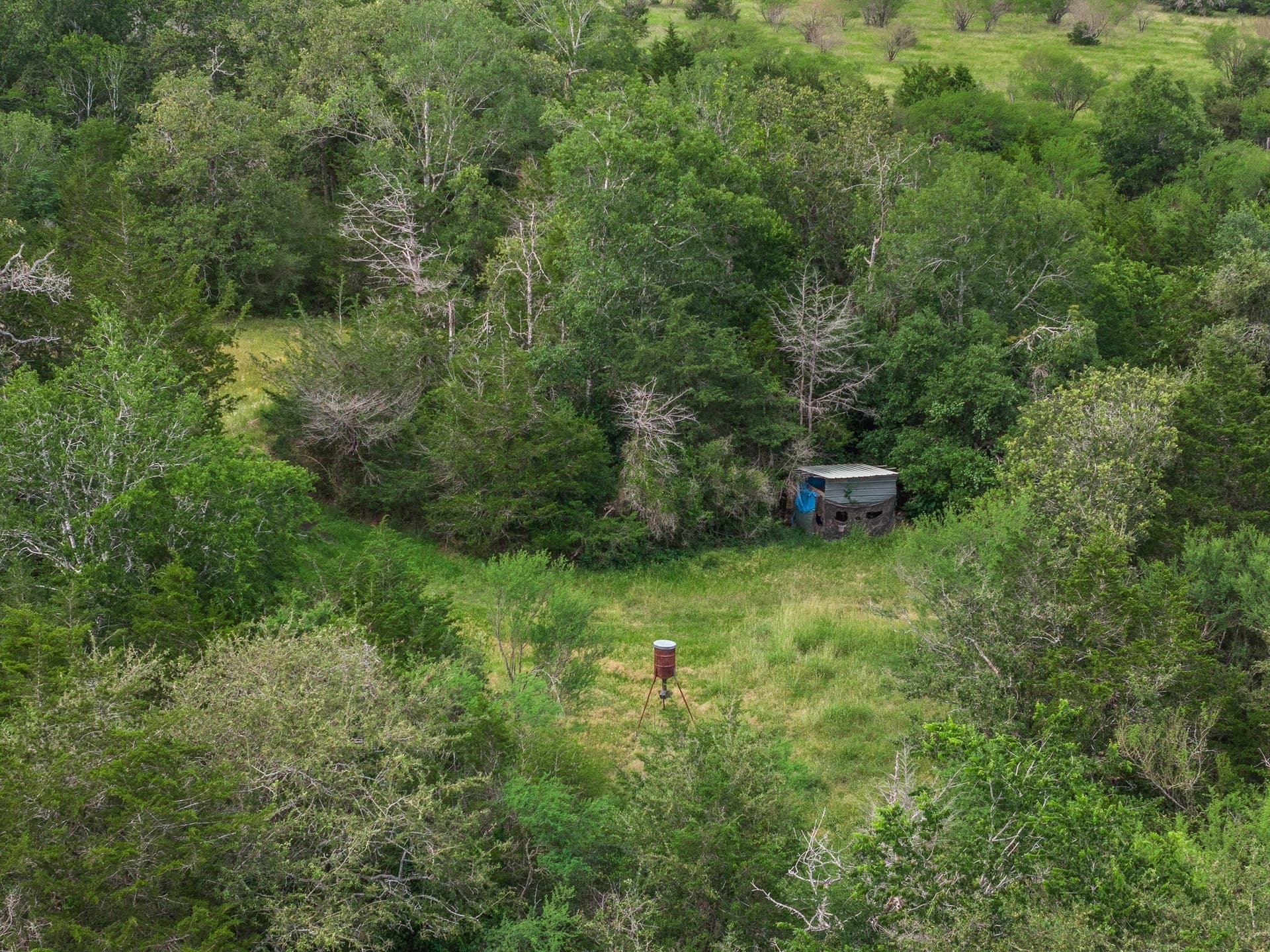 35 acres in Colorado County - photo 31