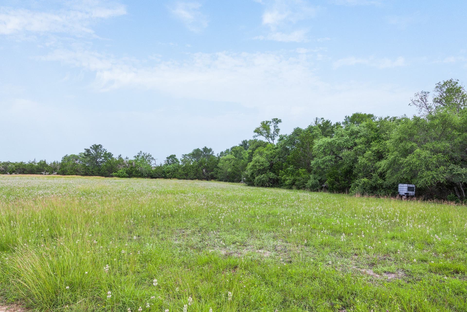35 acres in Colorado County - photo 7
