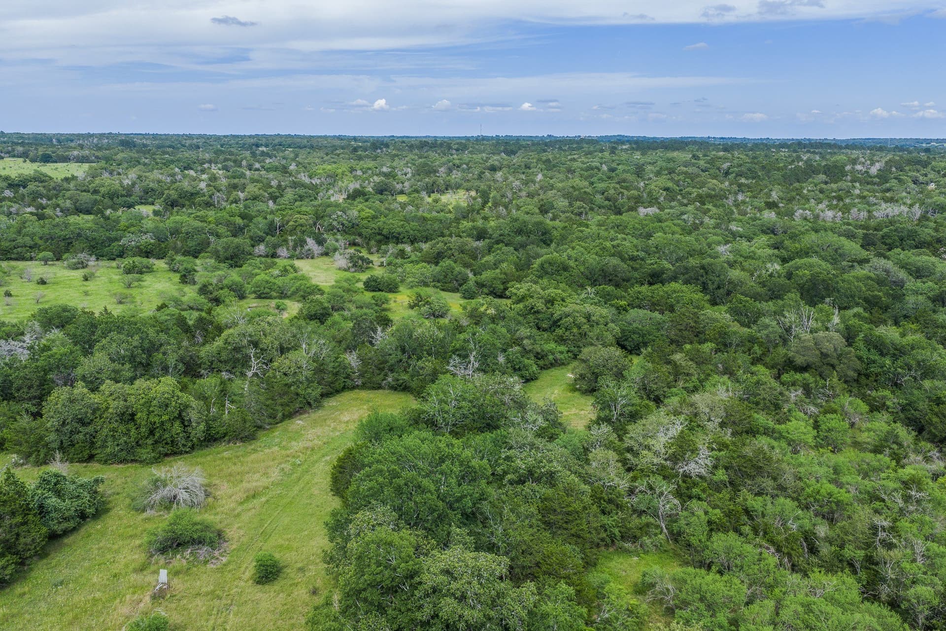 35 acres in Colorado County - photo 26