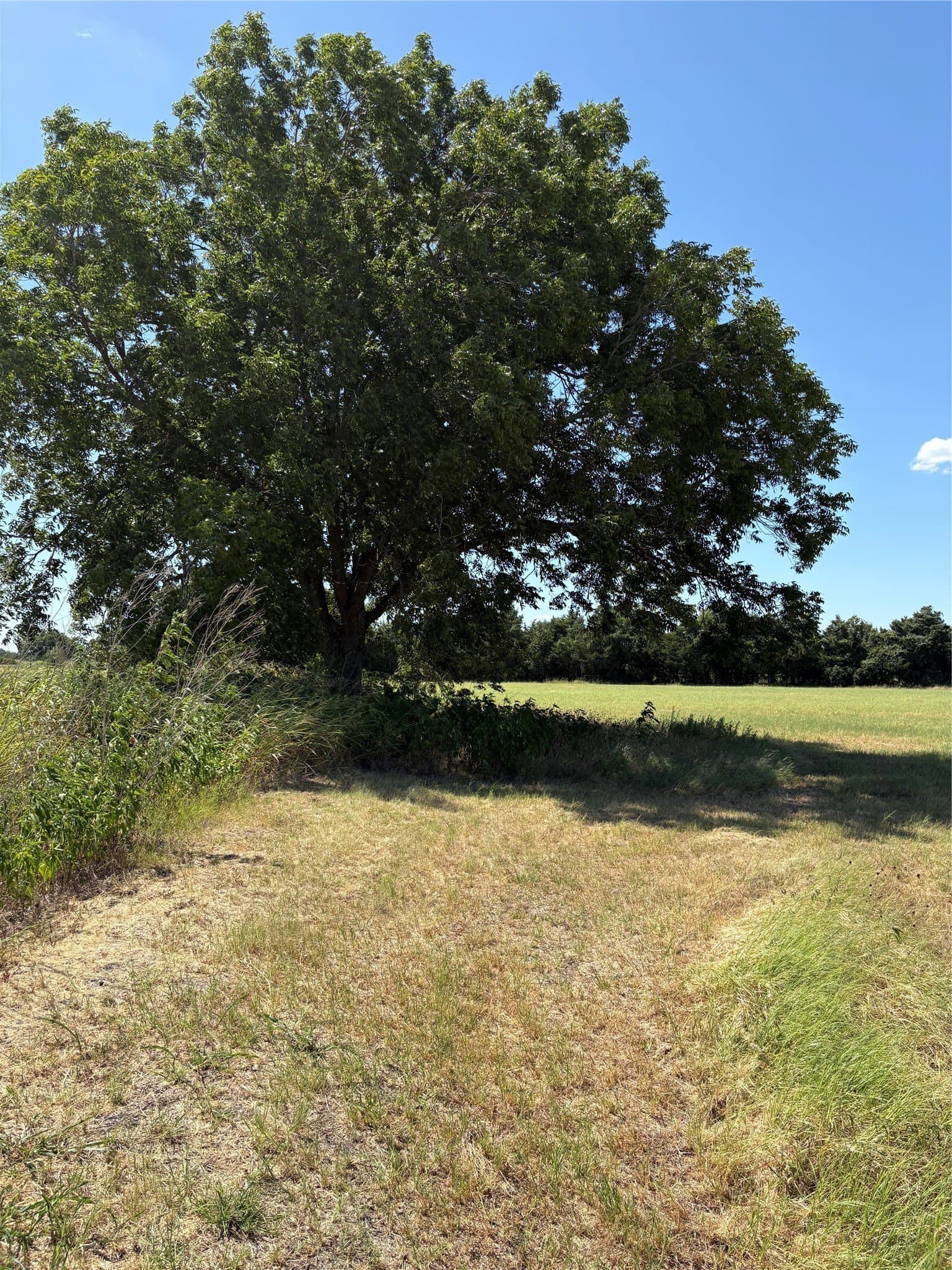 11.61 acres in Falls County - photo 9