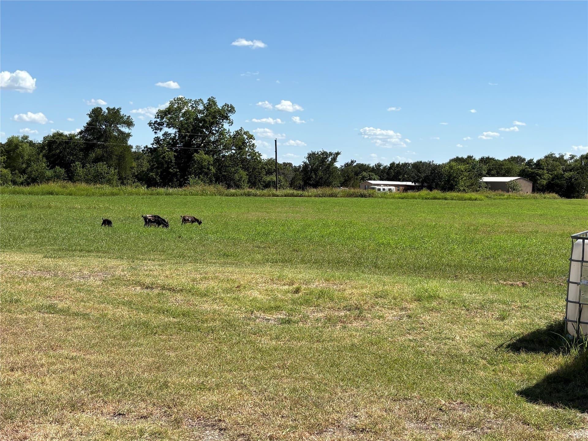 11.61 acres in Falls County - photo 6