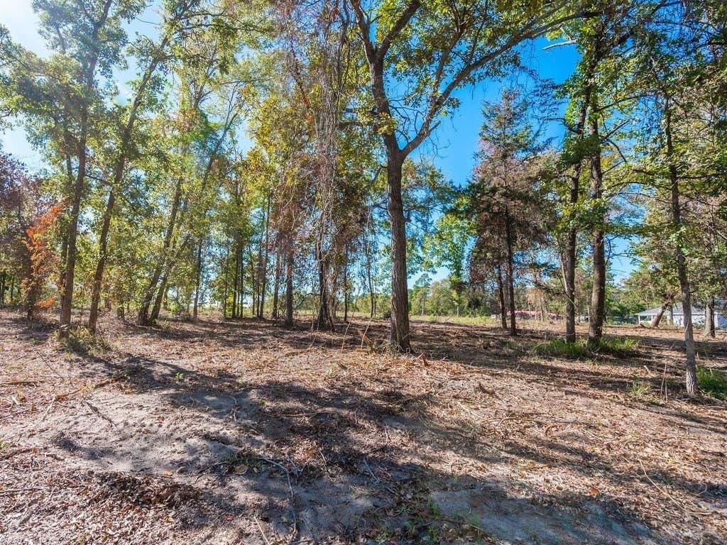0.71 acres in Texas County gallery image 3