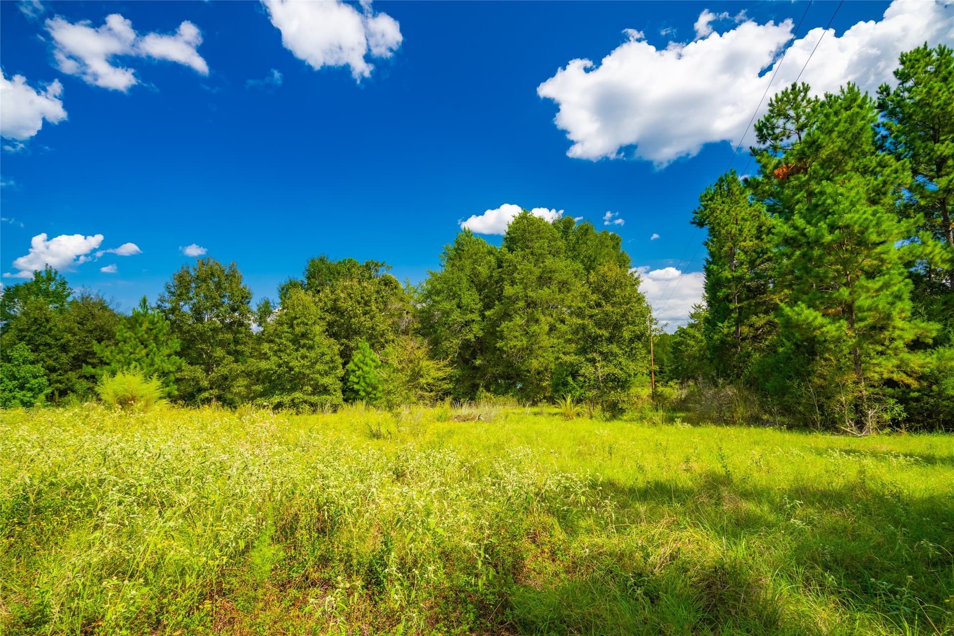 73 acres in Anderson County - photo 3