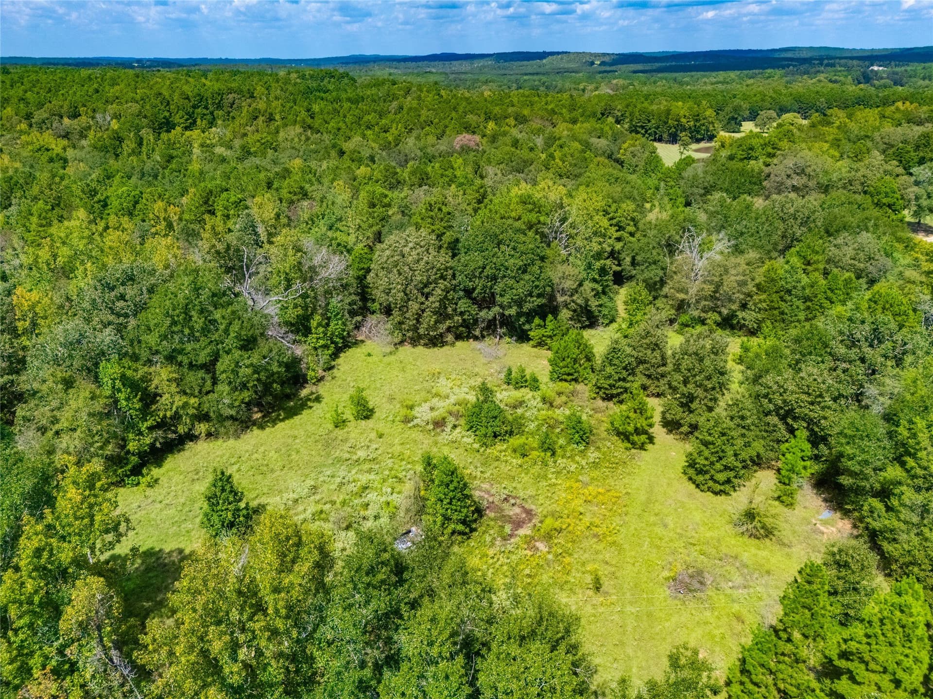 73 acres in Anderson County - photo 16