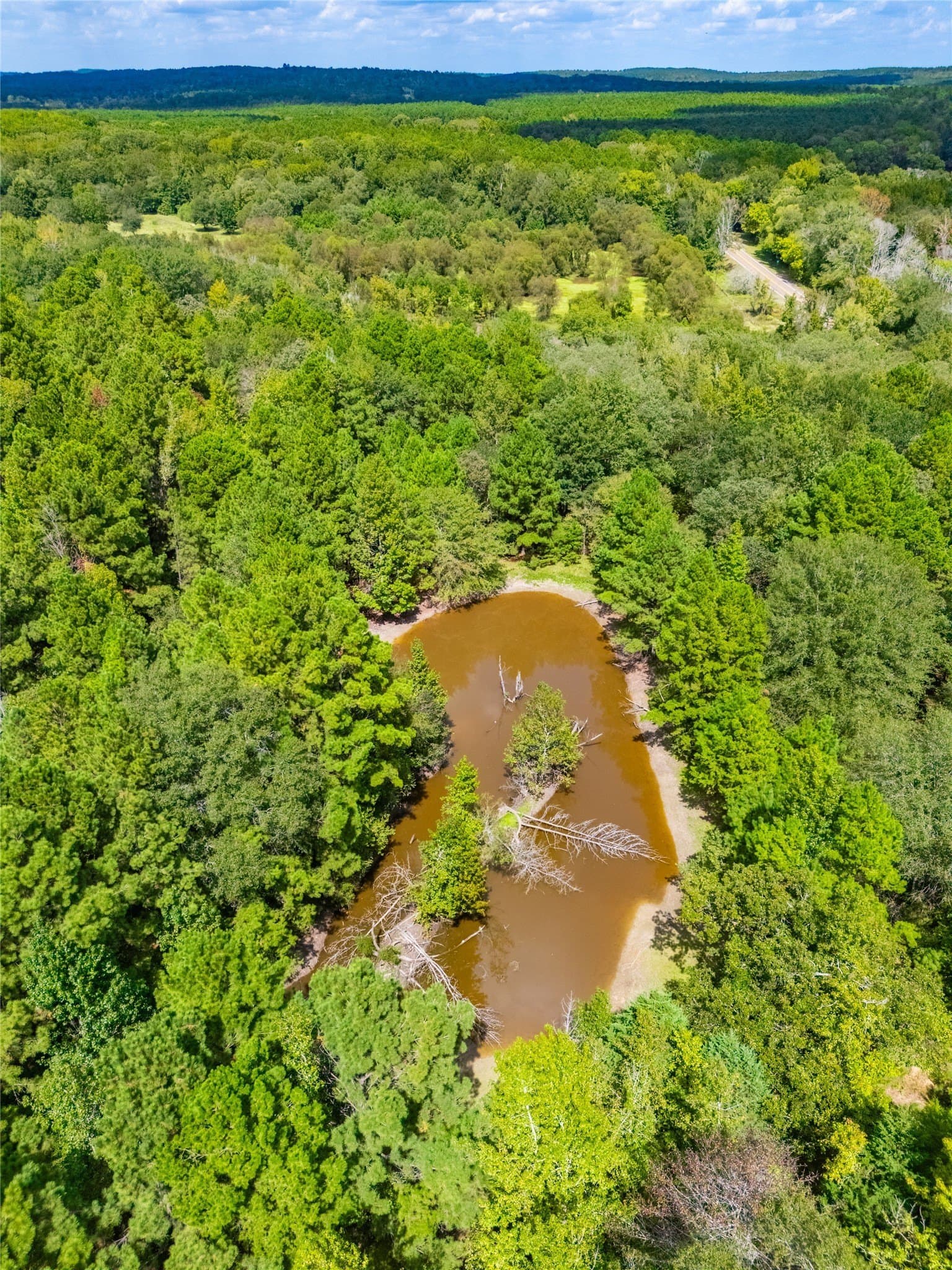 73 acres in Anderson County - photo 9