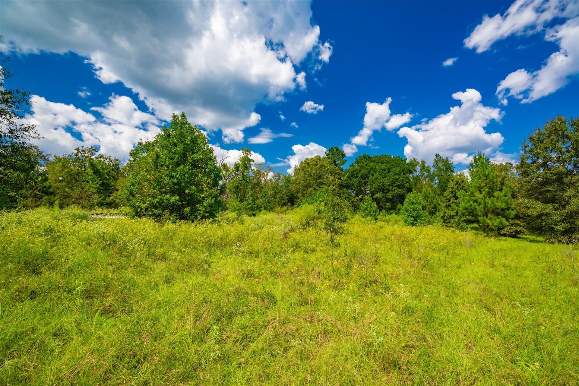 73 acres in Anderson County - photo 4