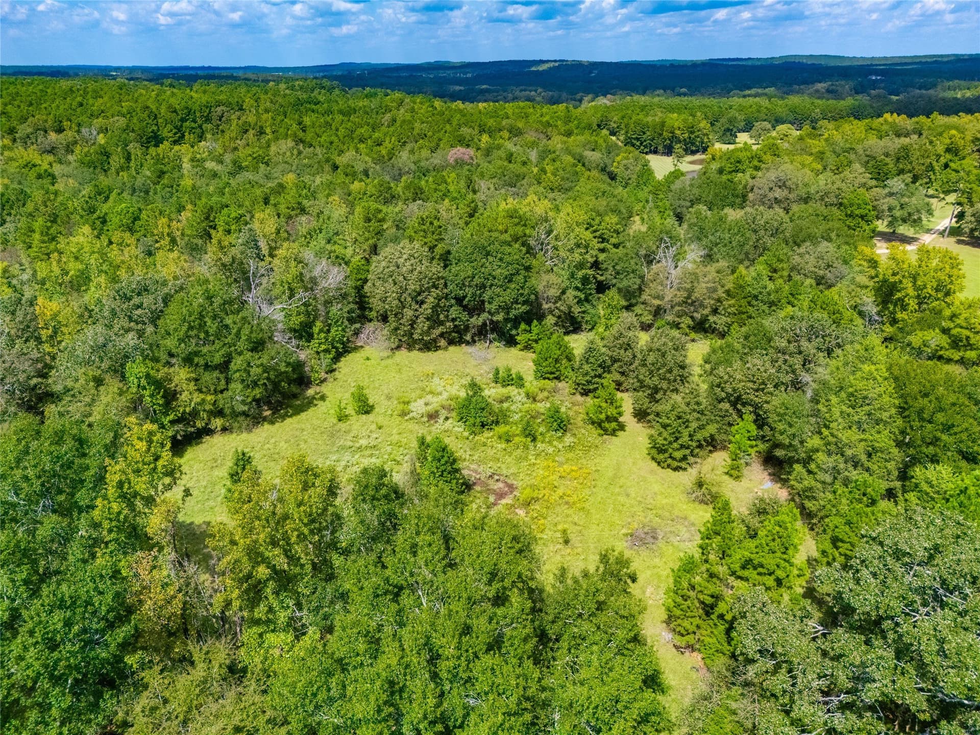 73 acres in Anderson County - photo 10