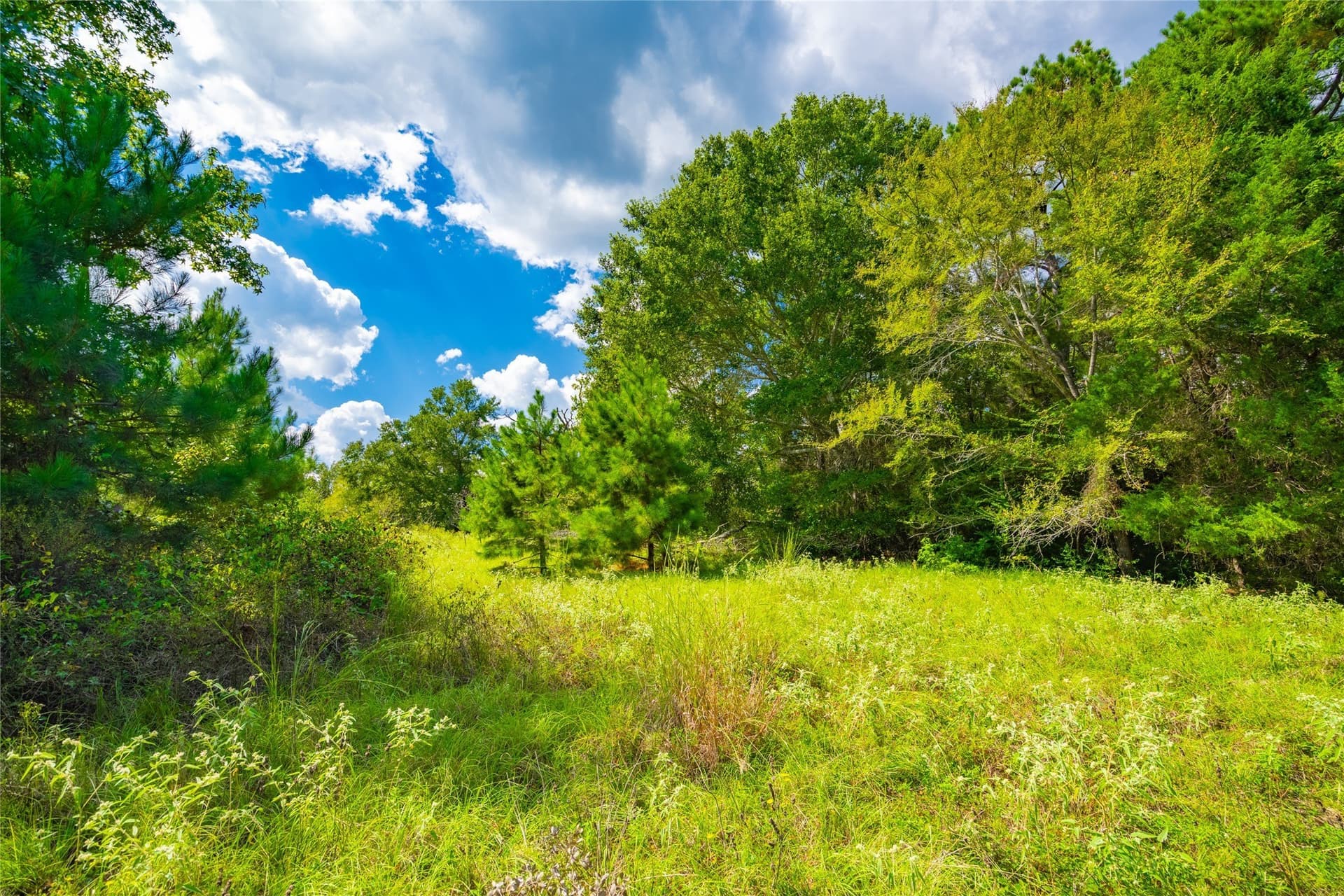 73 acres in Anderson County - photo 2