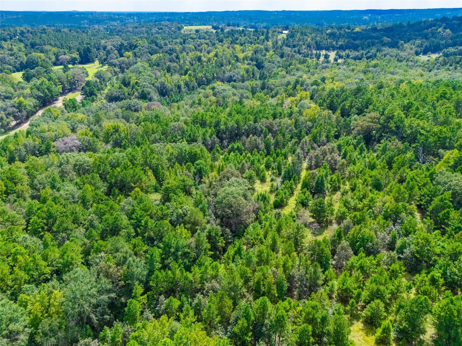 73 acres in Anderson County - photo 17