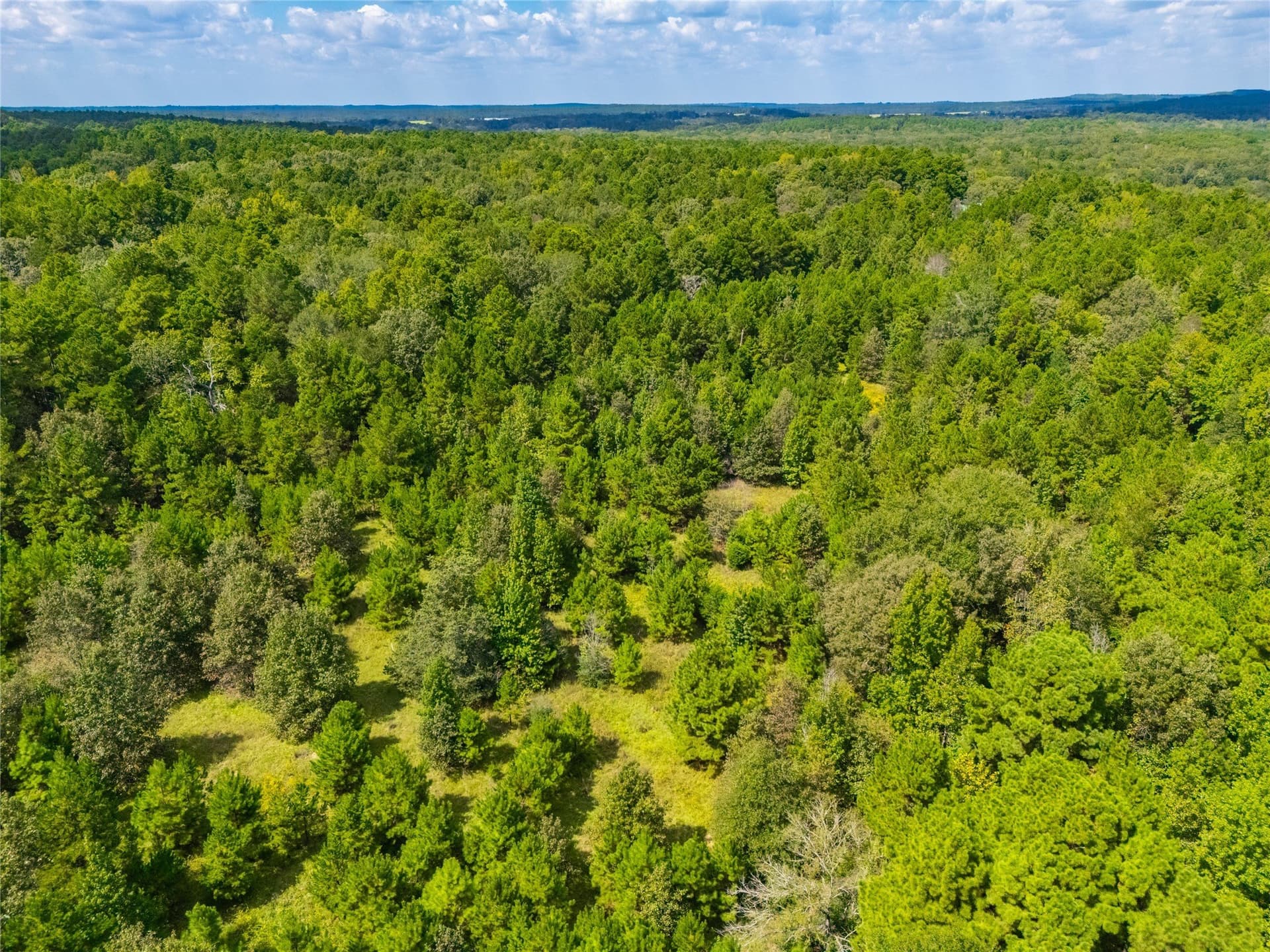 73 acres in Anderson County - photo 6