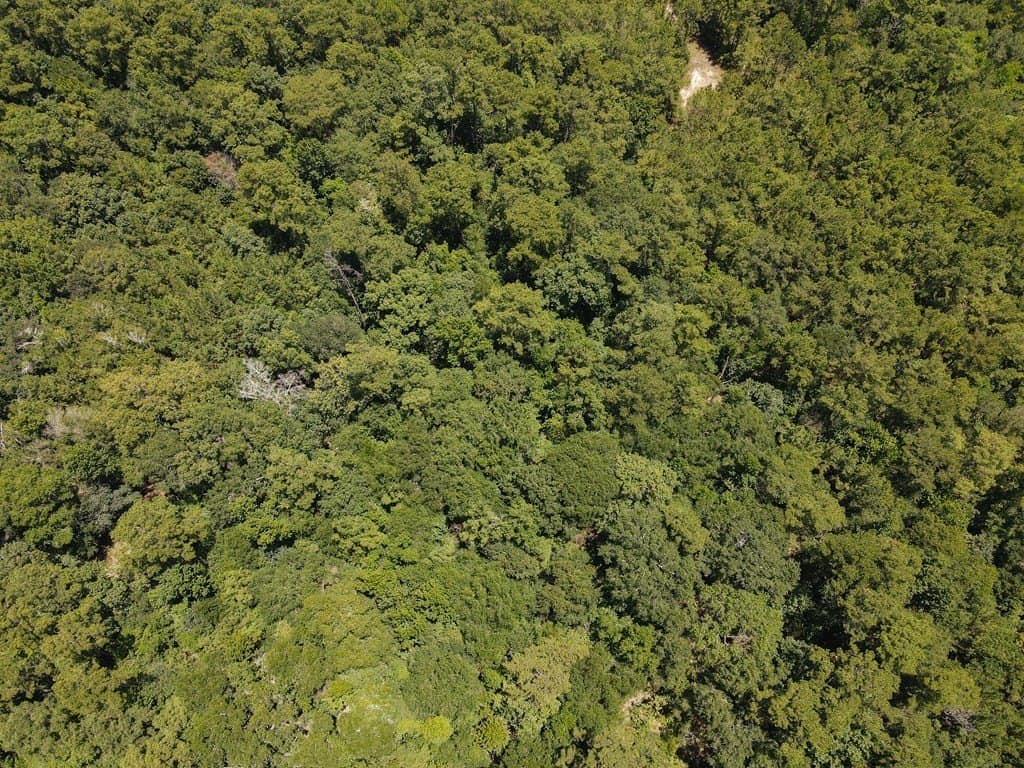 110 acres in Texas County gallery image 4