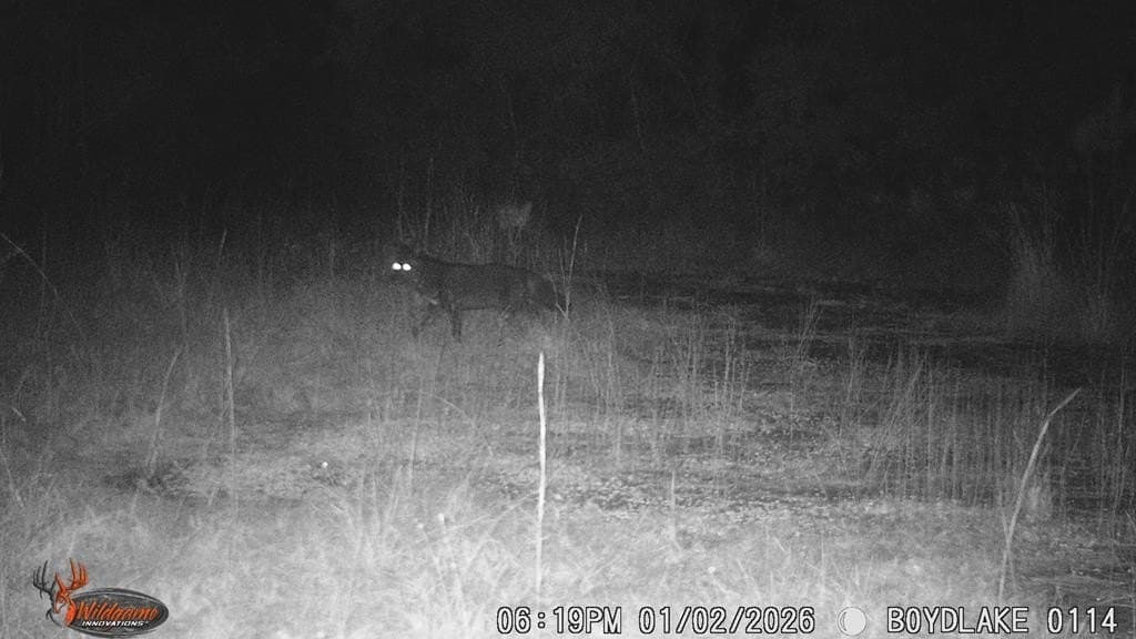 110 acres in Texas County featured view