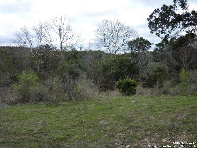 32.62 acres in Bexar County gallery image 2