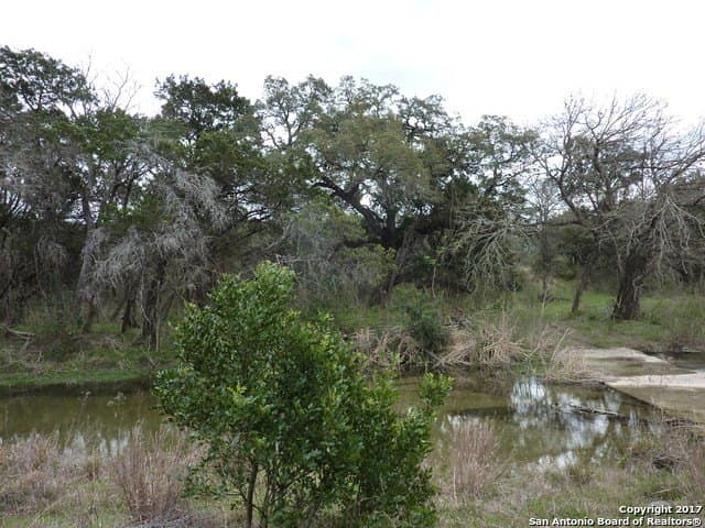 32.62 acres in Bexar County - photo 6