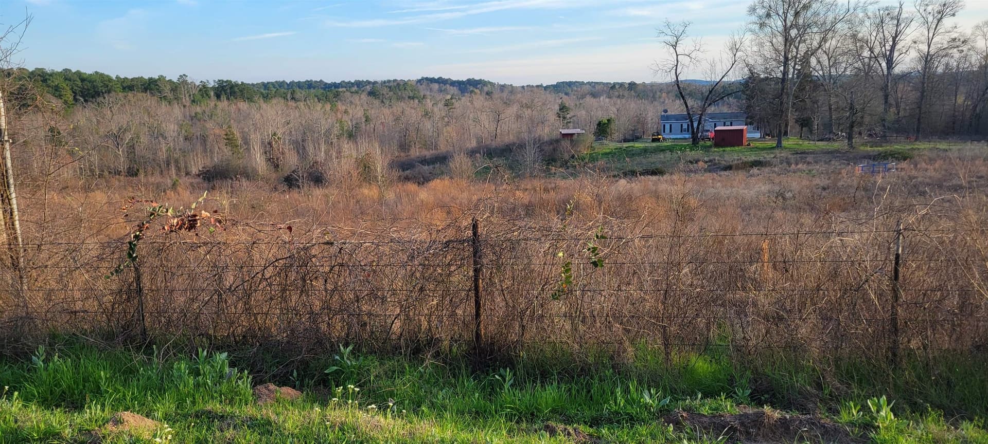73.93 acres in Harrison County - photo 8
