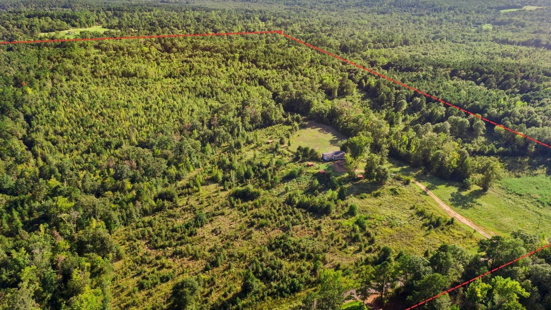 73.93 acres in Harrison County - photo 17
