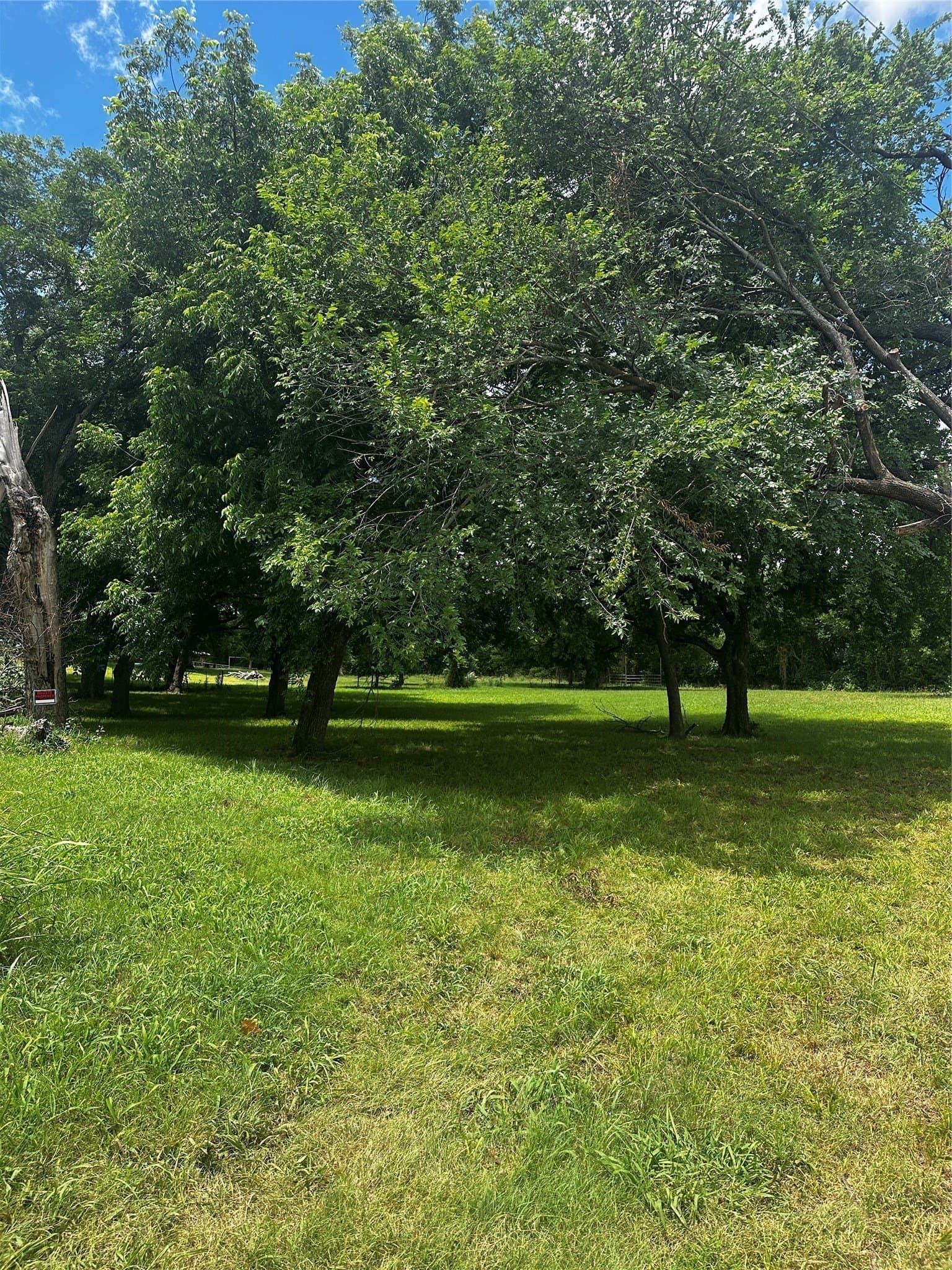 0.94 acres in Montague County gallery image 2