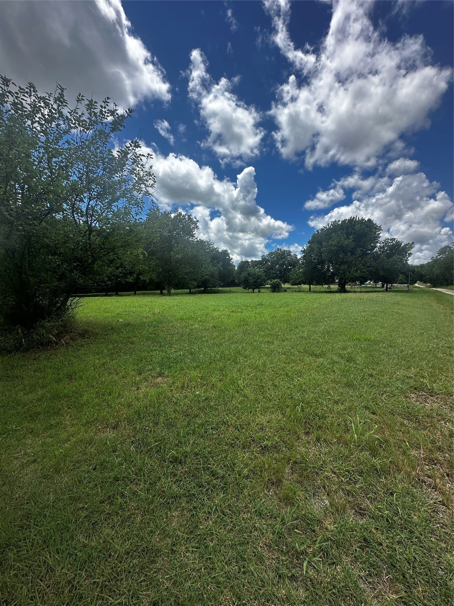 0.94 acres in Montague County gallery image 4
