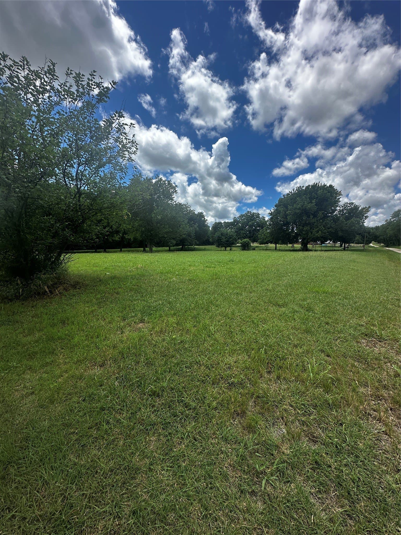 0.94 acres in Montague County gallery image 3