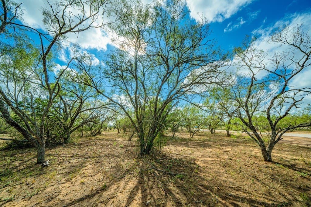 0.18 acres in Gillespie County - photo 22