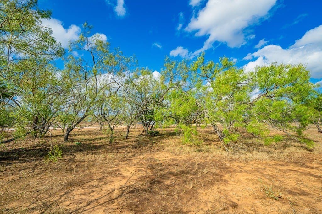 0.18 acres in Gillespie County - photo 18