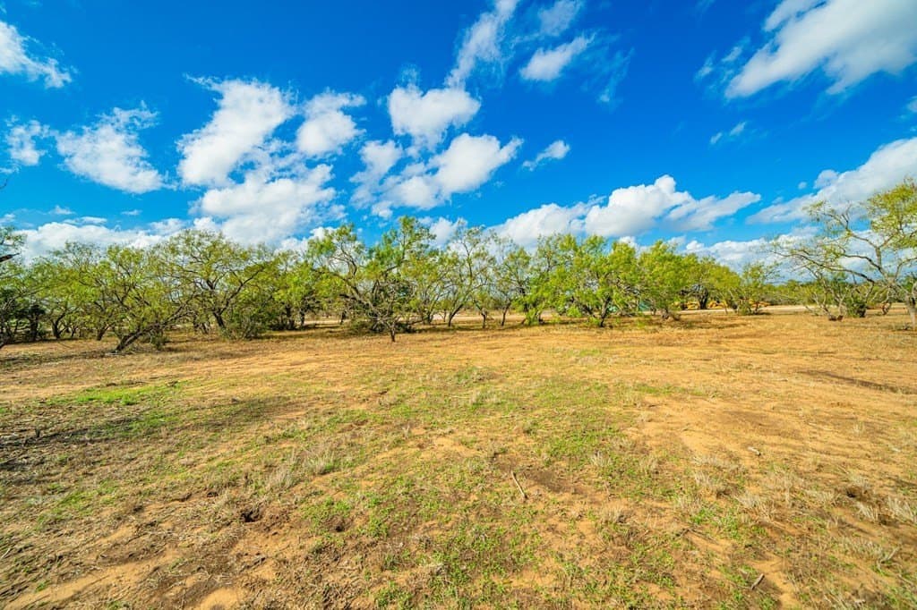 0.18 acres in Gillespie County - photo 19