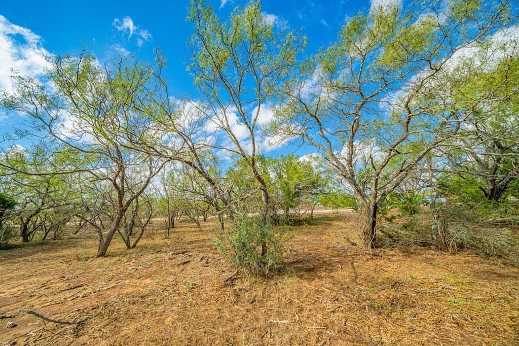 0.18 acres in Gillespie County - photo 20