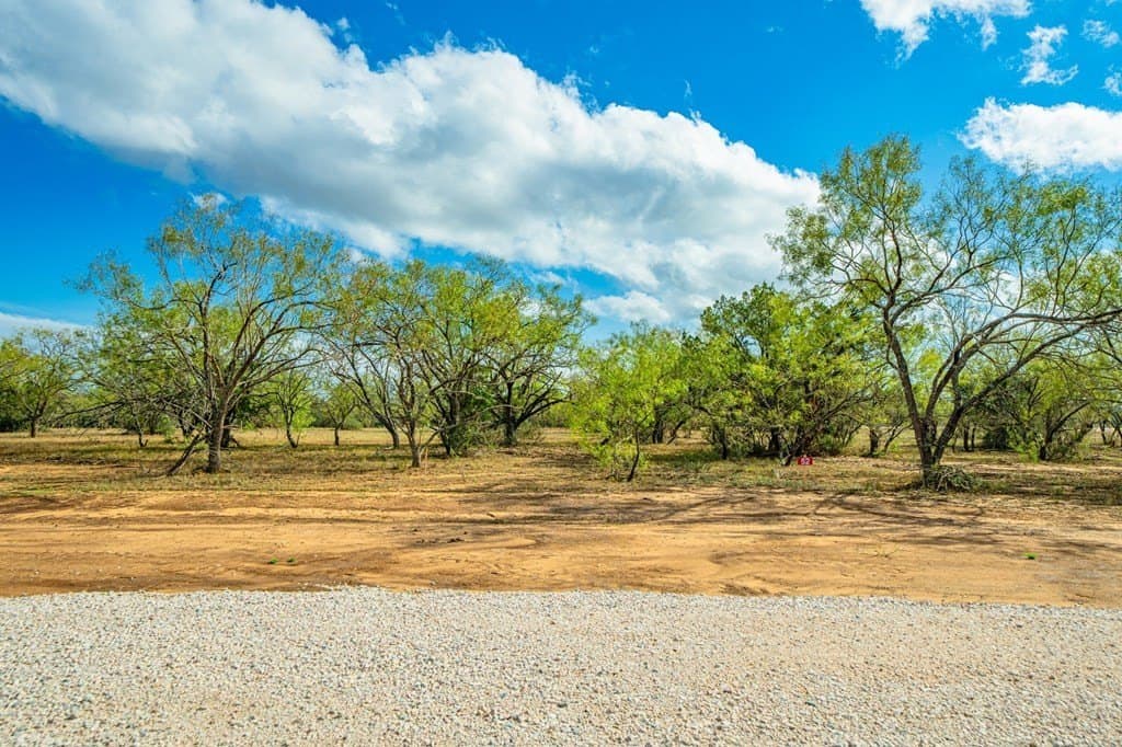 0.18 acres in Gillespie County - photo 21