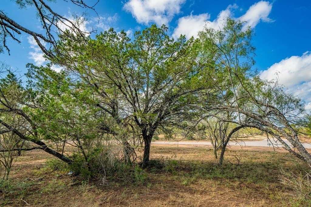 0.18 acres in Gillespie County - photo 17