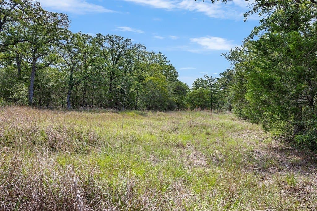 3.16 acres in Fayette County - photo 17