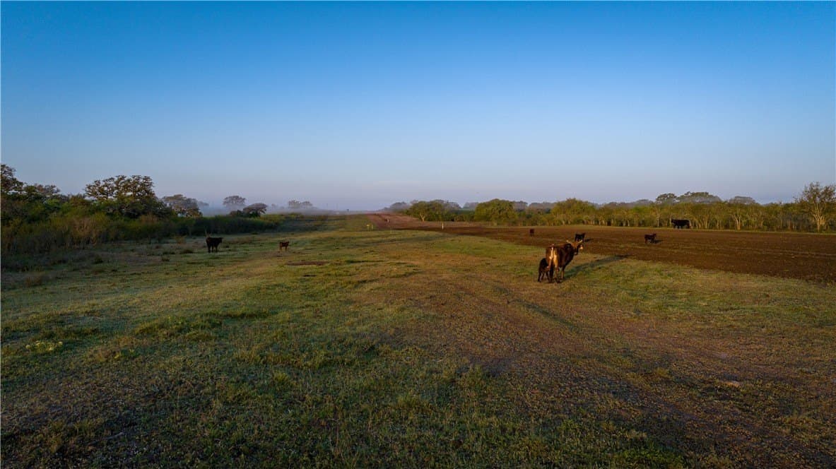 450 acres in Goliad County - photo 9