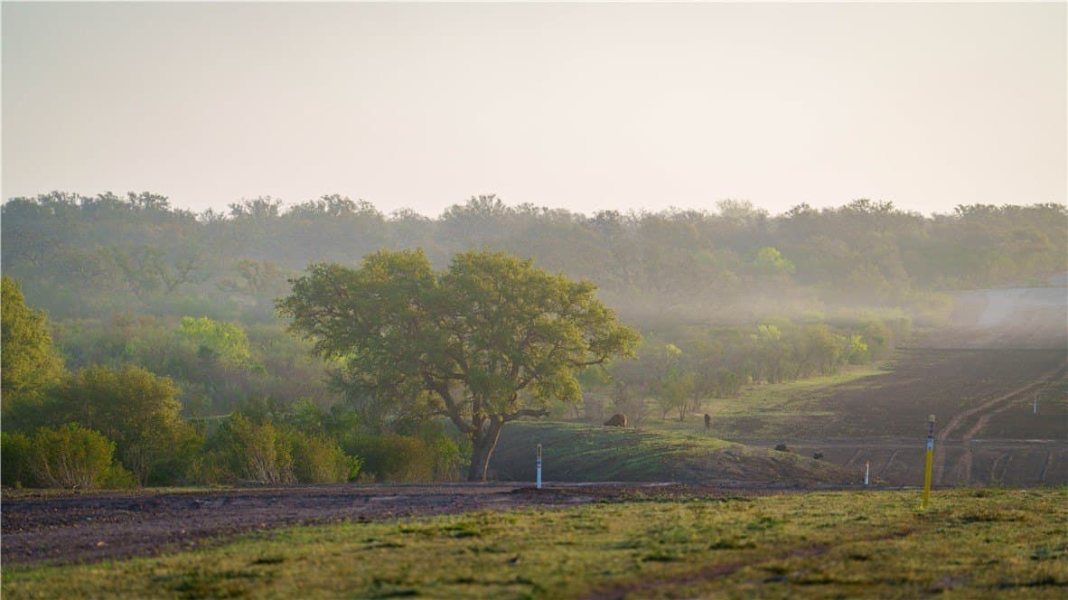 450 acres in Goliad County - photo 25