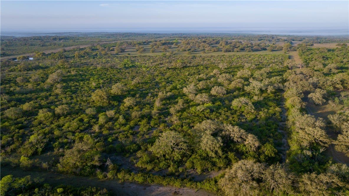 450 acres in Goliad County - photo 30