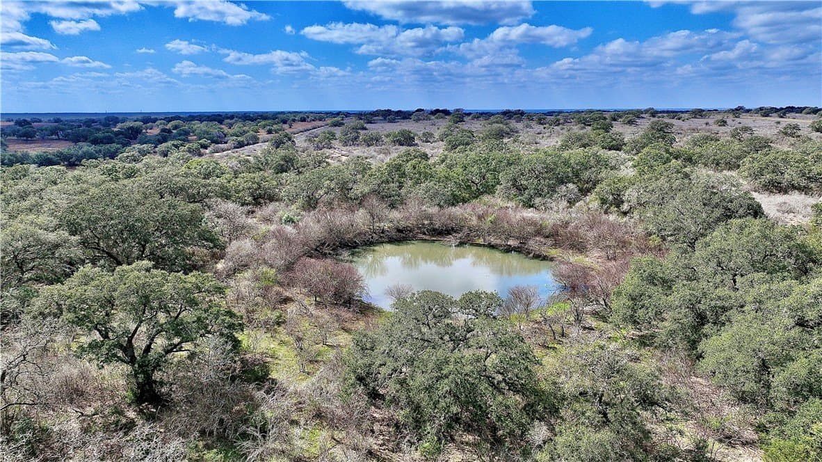 450 acres in Goliad County - photo 15