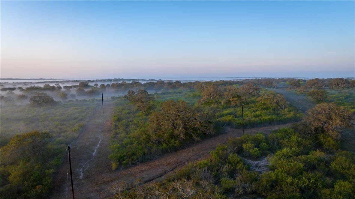 450 acres in Goliad County - photo 7