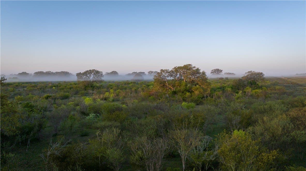 450 acres in Goliad County gallery image 4