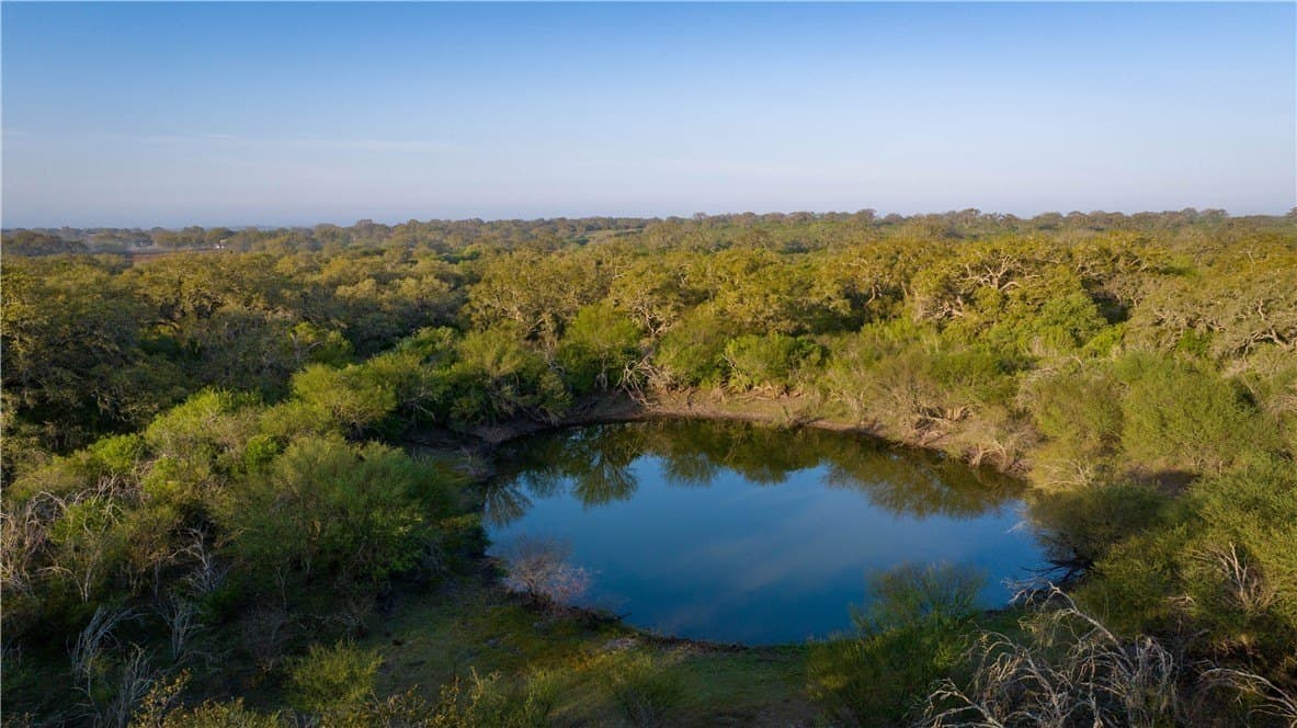 450 acres in Goliad County - photo 31