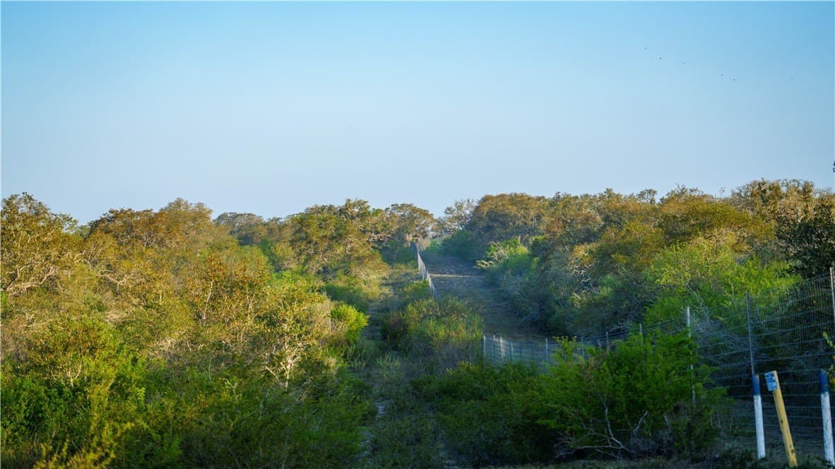 450 acres in Goliad County - photo 28