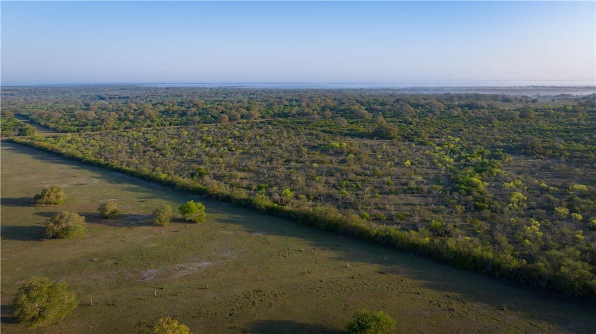 450 acres in Goliad County - photo 29